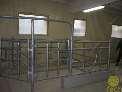 calving stall