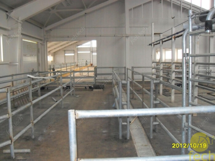 Cowshed for 500 heads